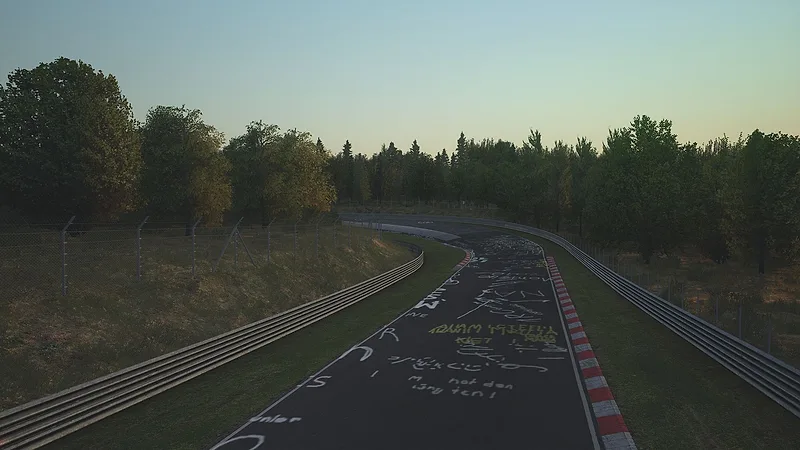 Nordschleife - Endurance – Kurvenansicht 3